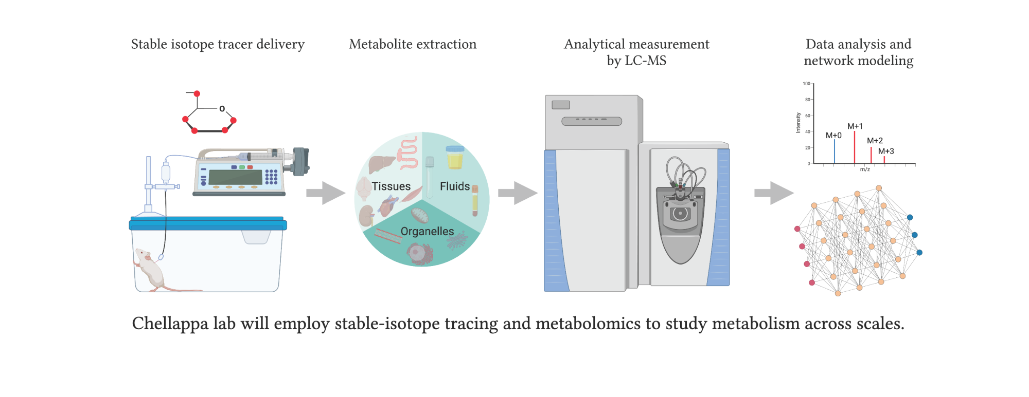 Chellappa Lab figure