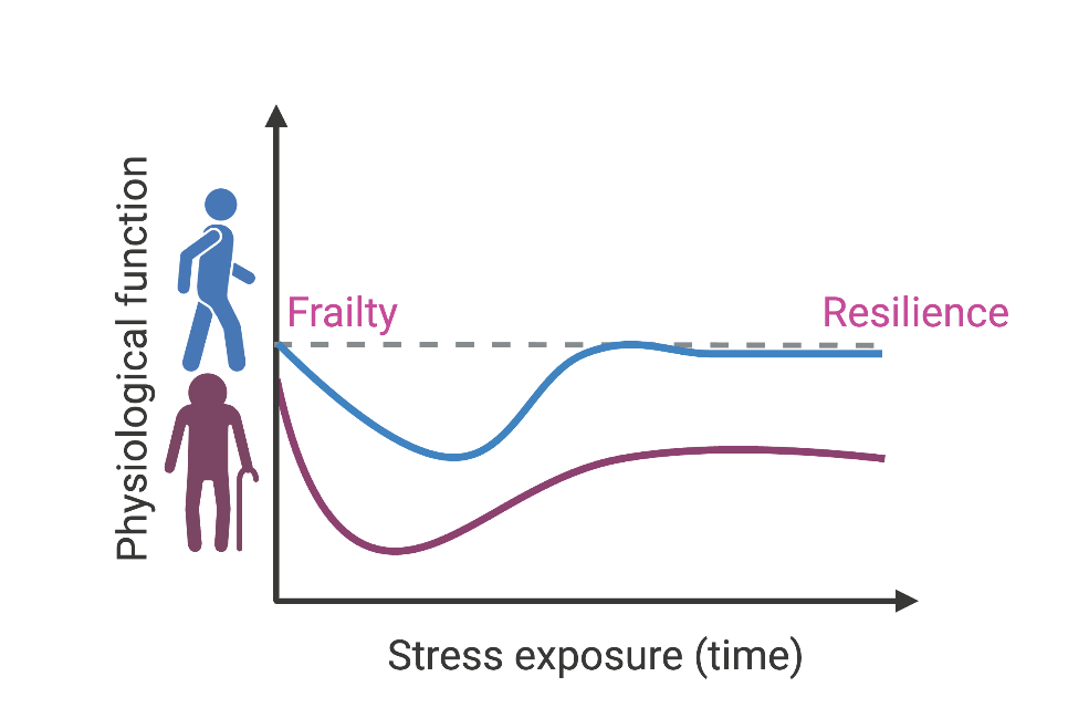 Reilience and Frailty