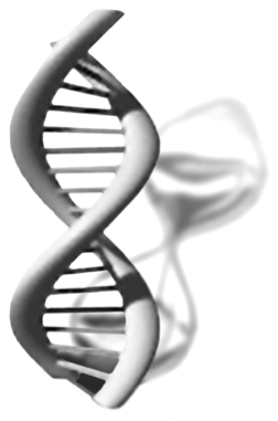 dna helix